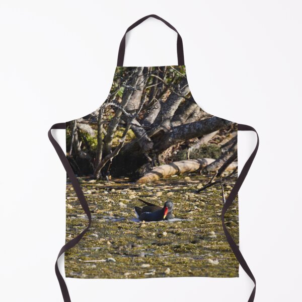 Item preview, In the pond. Eurasian Moorhen Spring 2026 designed and sold by Jouko Lehto Photography.