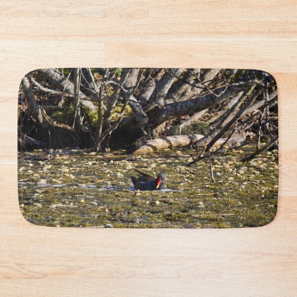 Item preview, In the pond. Eurasian Moorhen Spring 2026 designed and sold by Jouko Lehto Photography.