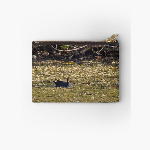 Item preview, Dropped flowers. Eurasian Moorhen Spring 2026 designed and sold by Jouko Lehto Photography.
