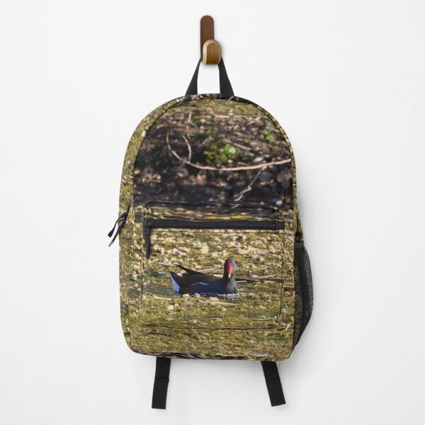 Item preview, Dropped flowers. Eurasian Moorhen Spring 2026 designed and sold by Jouko Lehto Photography.