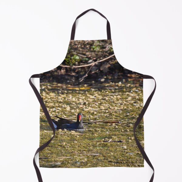 Item preview, Dropped flowers. Eurasian Moorhen Spring 2026 designed and sold by Jouko Lehto Photography.