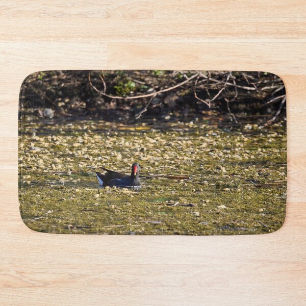 Item preview, Dropped flowers. Eurasian Moorhen Spring 2026 designed and sold by Jouko Lehto Photography.