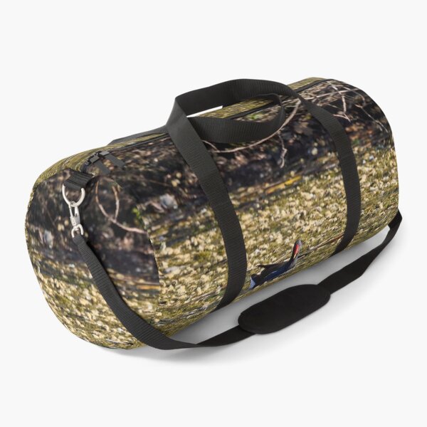 Item preview, Dropped flowers. Eurasian Moorhen Spring 2026 designed and sold by Jouko Lehto Photography.