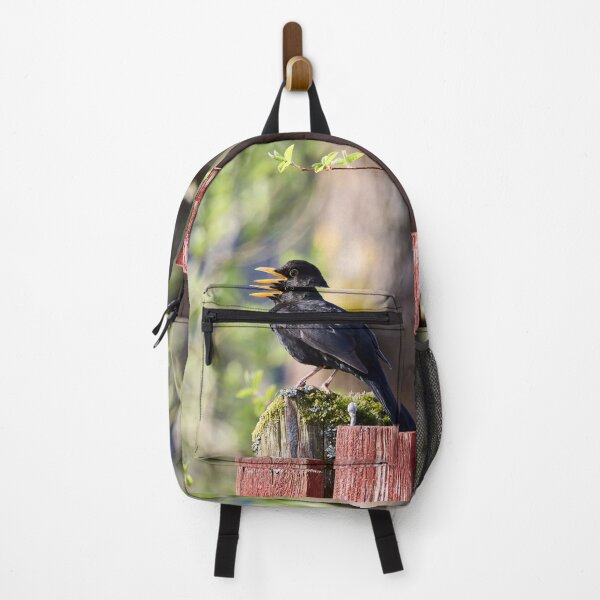 Item preview, Black tunes. Eurasian Blackbird Spring 2026 designed and sold by Jouko Lehto Photography.