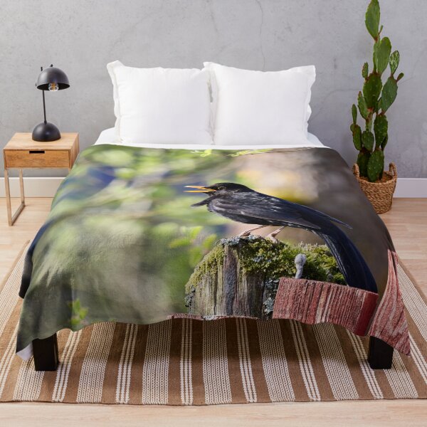 Item preview, Black tunes. Eurasian Blackbird Spring 2026 designed and sold by Jouko Lehto Photography.