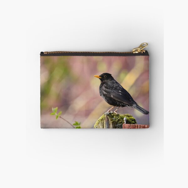 Item preview, Reds and greens. Eurasian Blackbird Spring 2026 designed and sold by Jouko Lehto Photography.
