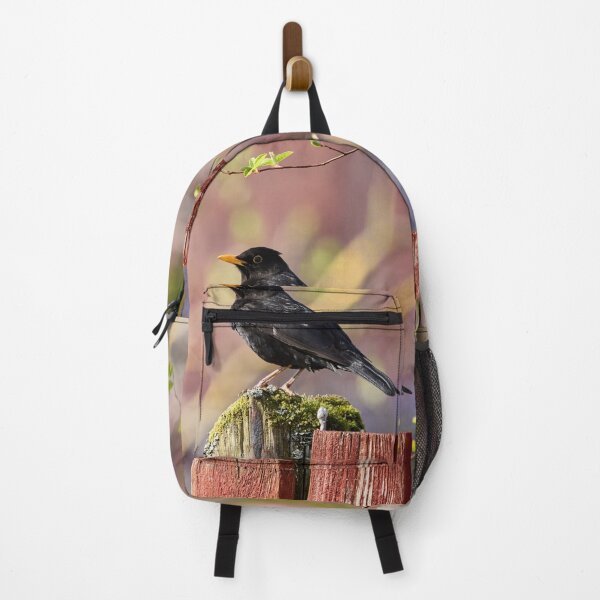 Item preview, Reds and greens. Eurasian Blackbird Spring 2026 designed and sold by Jouko Lehto Photography.