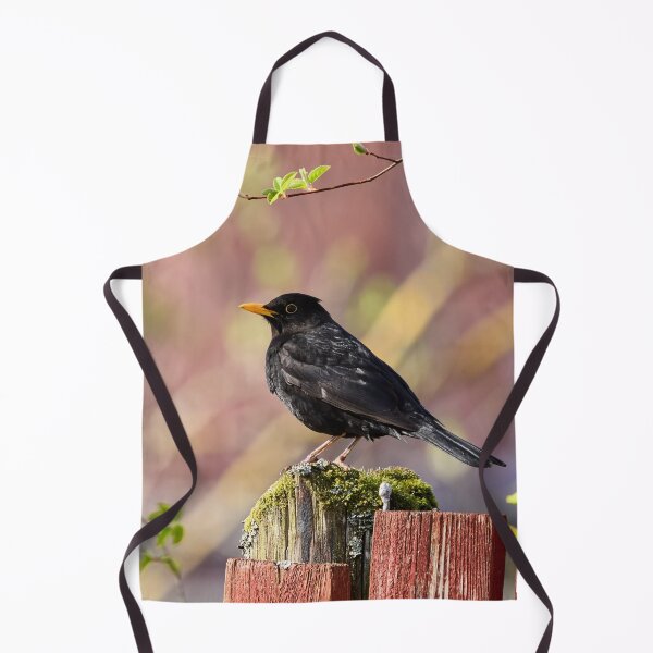 Artikelvorschau, Rot und Grün. Amsel, Frühjahr 2026 entworfen und verkauft von Jouko Lehto Photography.