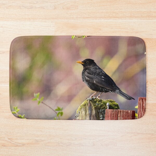 Item preview, Reds and greens. Eurasian Blackbird Spring 2026 designed and sold by Jouko Lehto Photography.