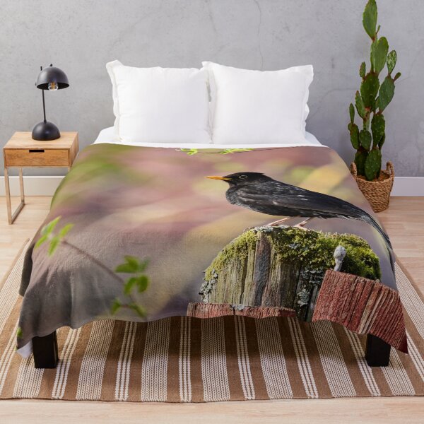 Item preview, Reds and greens. Eurasian Blackbird Spring 2026 designed and sold by Jouko Lehto Photography.