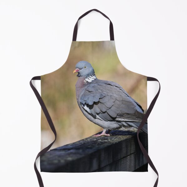 Item preview, Enjoying the sun. Common wood pigeon Spring 2026 designed and sold by Jouko Lehto Photography.