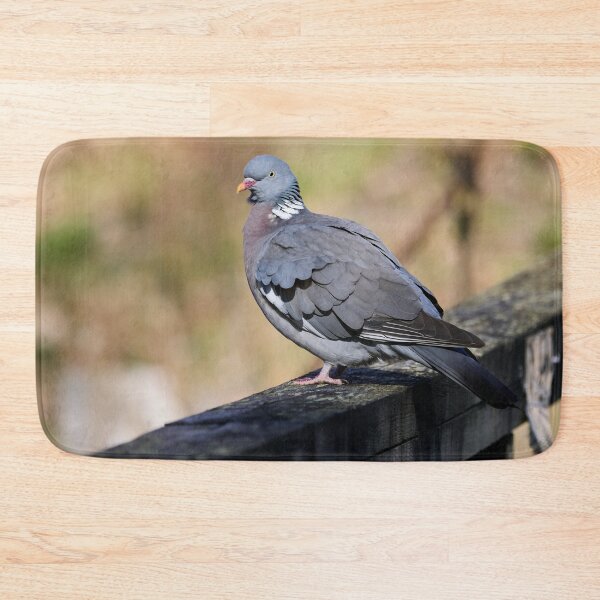 Item preview, Enjoying the sun. Common wood pigeon Spring 2026 designed and sold by Jouko Lehto Photography.