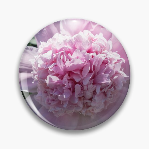 Item preview, Baby Pink Peony Bloom with Ruffled Petals designed and sold by Georgia Mizuleva.
