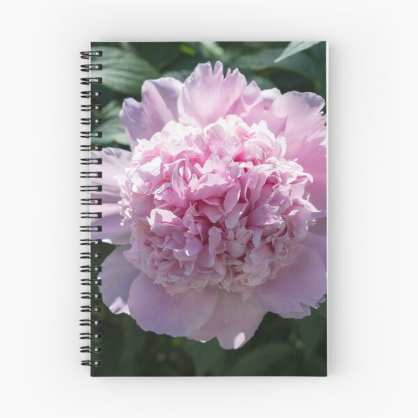 Item preview, Baby Pink Peony Bloom with Ruffled Petals designed and sold by Georgia Mizuleva.
