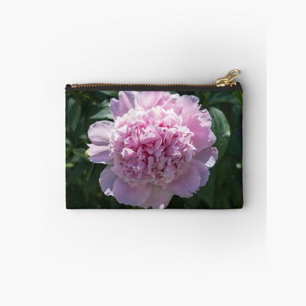 Item preview, Baby Pink Peony Bloom with Ruffled Petals designed and sold by Georgia Mizuleva.