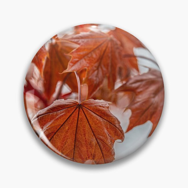 Item preview, Spring Rebirth designed and sold by MariaAbaza.
