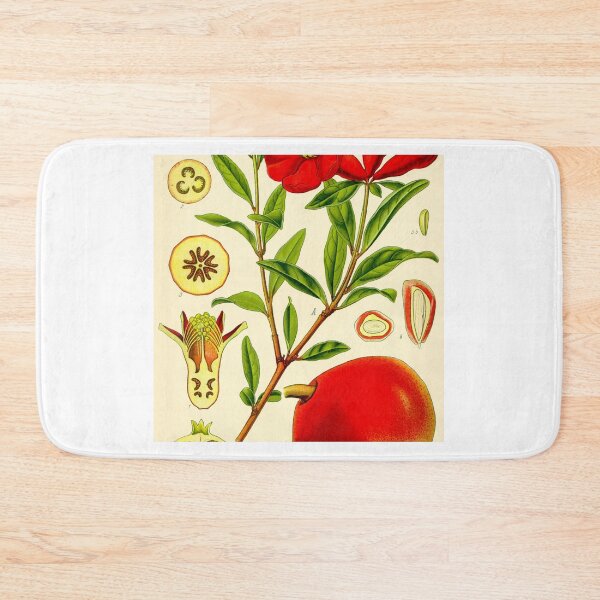Item preview, Illustration Punica granatum2.jpg - Maximalist Vintage Public Domain Art Print designed and sold by Presly.