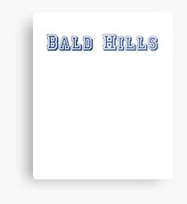 Bald Hills Metal Print