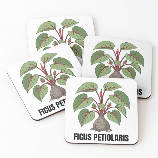 Item preview, Ficus Petiolaris Botanical Graphic Art designed and sold by GreenDivisionJP.