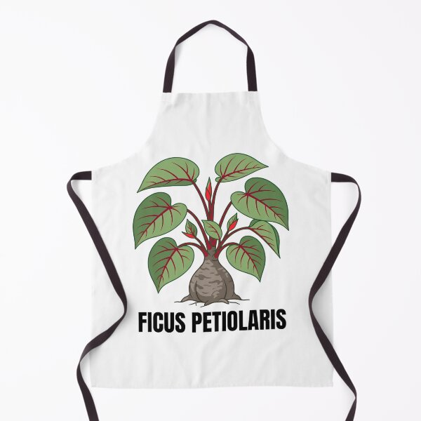 Item preview, Ficus Petiolaris Botanical Graphic Art designed and sold by GreenDivisionJP.