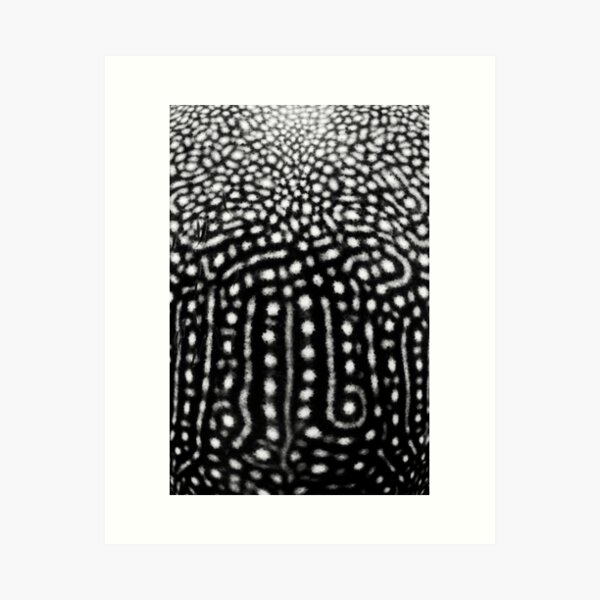 Whale Shark Spots Art Print