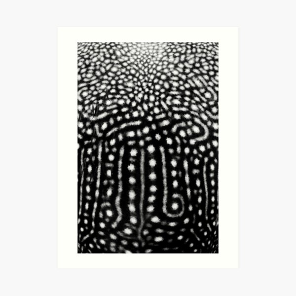 Whale Shark Spots Art Print
