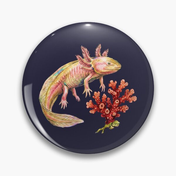 Item preview, Natural history illustration: The axolotl and its coral designed and sold by Green-Natura.