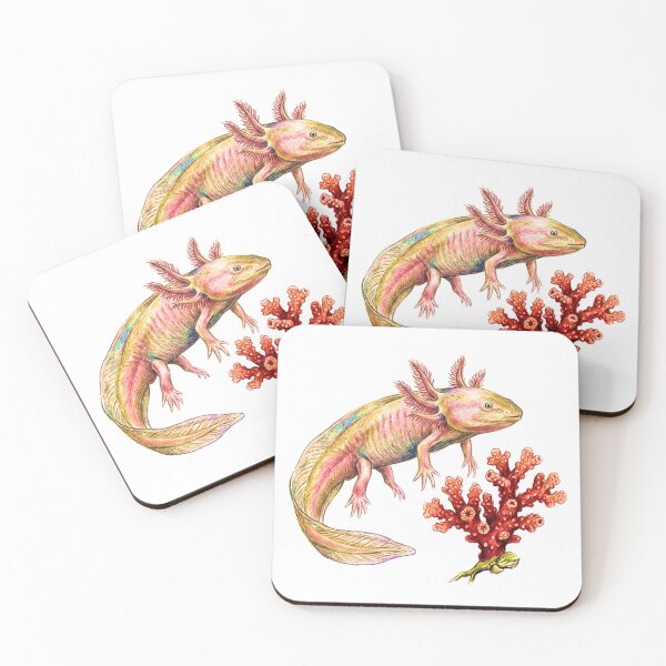 Item preview, Natural history illustration: The axolotl and its coral designed and sold by Green-Natura.