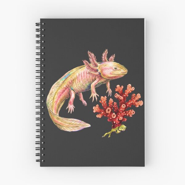 Item preview, Natural history illustration: The axolotl and its coral designed and sold by Green-Natura.