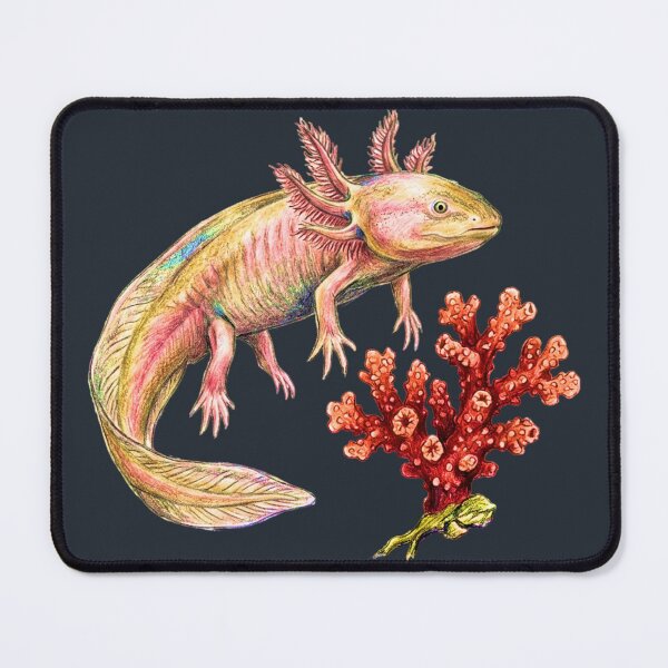 Item preview, Natural history illustration: The axolotl and its coral designed and sold by Green-Natura.