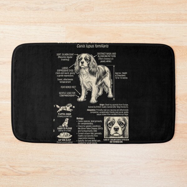 Item preview, Cavalier King Charles Spaniel Scientific Anatomy Biology Dog Lover designed and sold by Kimberley King Art  King Art.