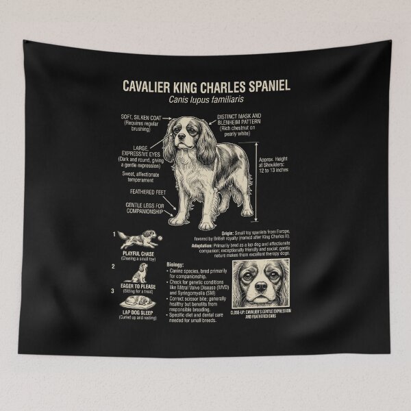 Artikelvorschau, Cavalier King Charles Spaniel – Wissenschaftliche Anatomie, Biologie, Hundeliebhaber entworfen und verkauft von Kimberley King Art King Art.