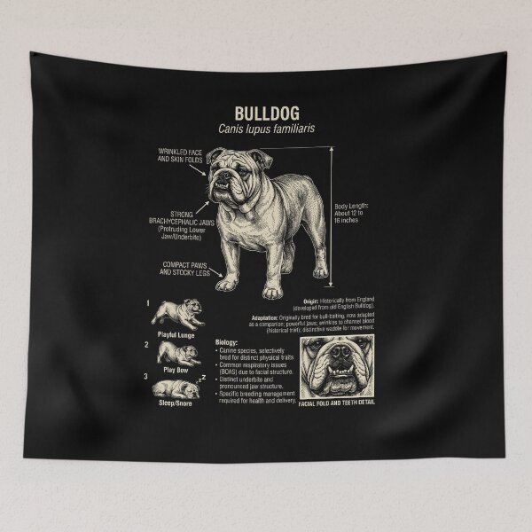 Artikelvorschau, Bulldogge – Wissenschaftliche Anatomie, Biologie, Hundeliebhaber entworfen und verkauft von Kimberley King Art King Art.