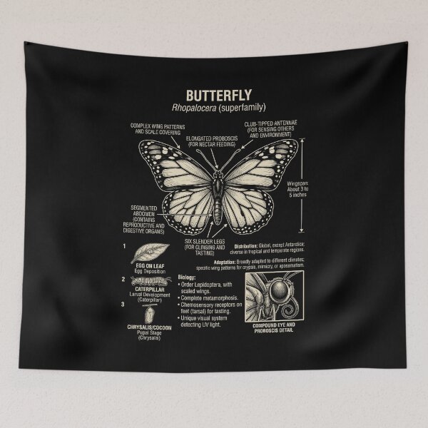 Item preview, Butterfly Scientific Anatomy Biology Animal Lover designed and sold by Kimberley King Art  King Art.