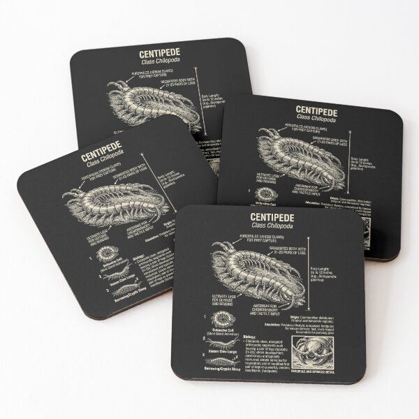 Item preview, Centipede Scientific Anatomy Biology Animal Lover designed and sold by Kimberley King Art  King Art.