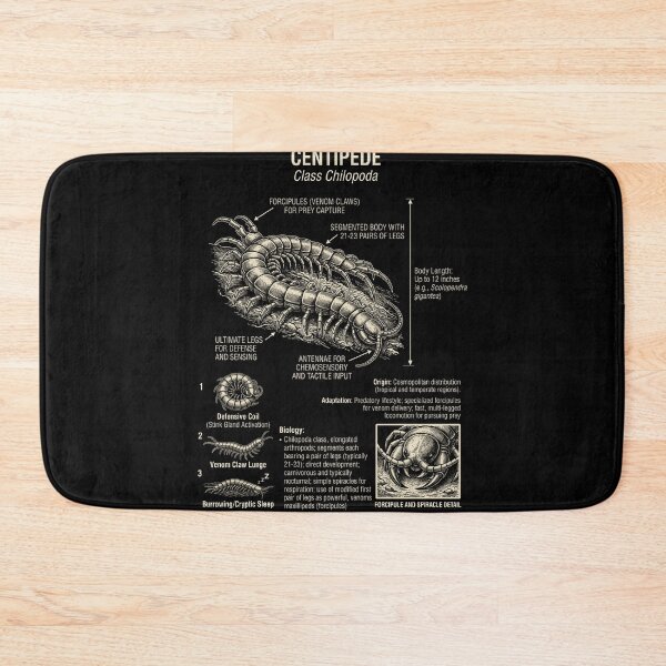Item preview, Centipede Scientific Anatomy Biology Animal Lover designed and sold by Kimberley King Art  King Art.