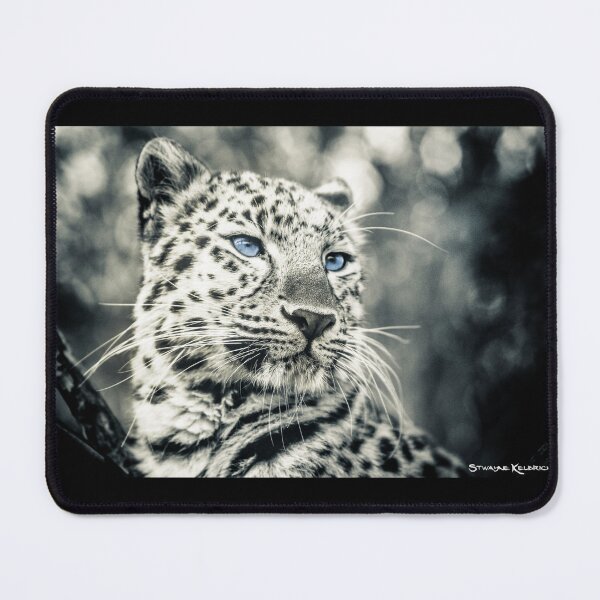 Item preview, Love Panther III designed and sold by Stwayne.
