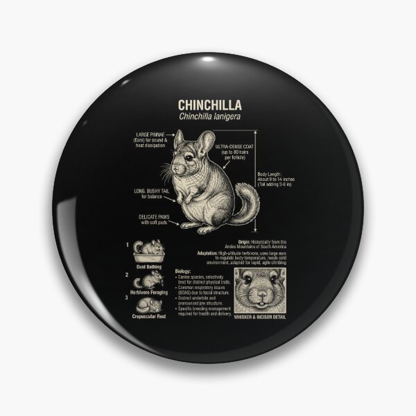 Item preview, Chinchilla Scientific Anatomy Biology Animal Lover designed and sold by Kimberley King Art  King Art.