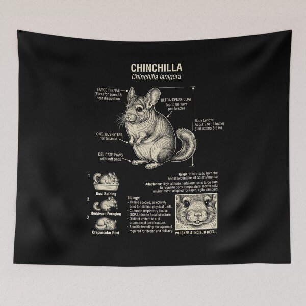 Item preview, Chinchilla Scientific Anatomy Biology Animal Lover designed and sold by Kimberley King Art  King Art.