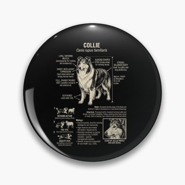 Item preview, Collie Scientific Anatomy Biology Dog Lover designed and sold by Kimberley King Art  King Art.