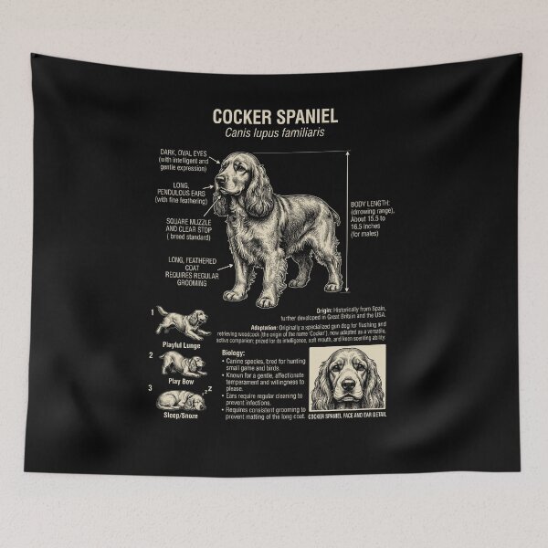 Artikelvorschau, Cocker Spaniel – Wissenschaftliche Anatomie, Biologie, Hundeliebhaber entworfen und verkauft von Kimberley King Art King Art.