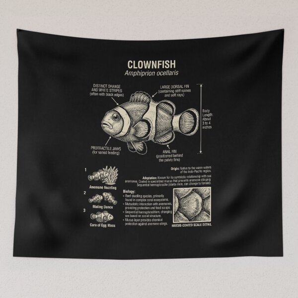 Item preview, Clownfish Scientific Anatomy Biology Animal Lover designed and sold by Kimberley King Art  King Art.