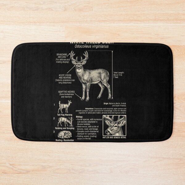 Item preview, Deer Scientific Anatomy Biology Animal Lover designed and sold by Kimberley King Art  King Art.