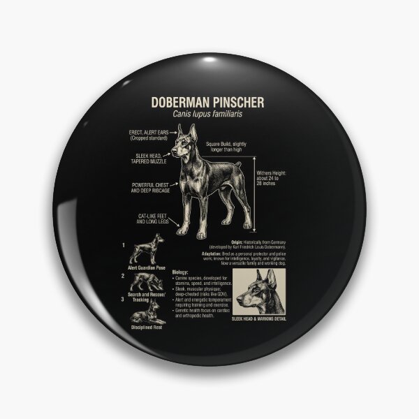 Item preview, Doberman Pinscher Scientific Anatomy Biology Dog Lover designed and sold by Kimberley King Art  King Art.