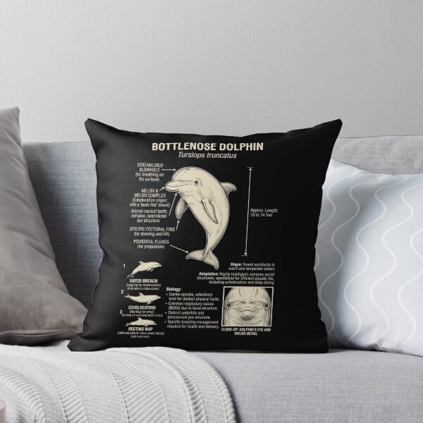 Item preview, Dolphin Scientific Anatomy Biology Animal Lover designed and sold by Kimberley King Art  King Art.