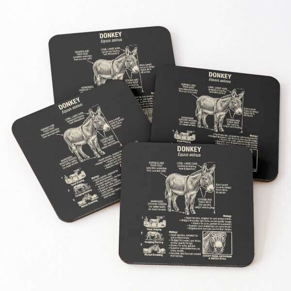 Item preview, Donkey Scientific Anatomy Biology Animal Lover designed and sold by Kimberley King Art  King Art.