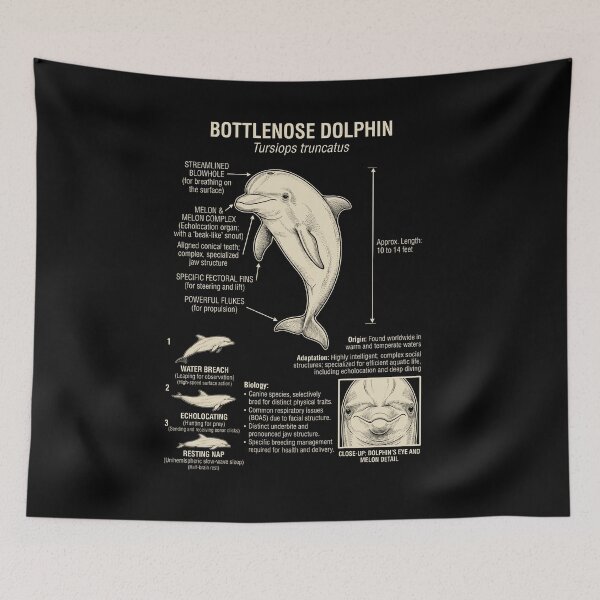 Item preview, Dolphin Scientific Anatomy Biology Animal Lover designed and sold by Kimberley King Art  King Art.