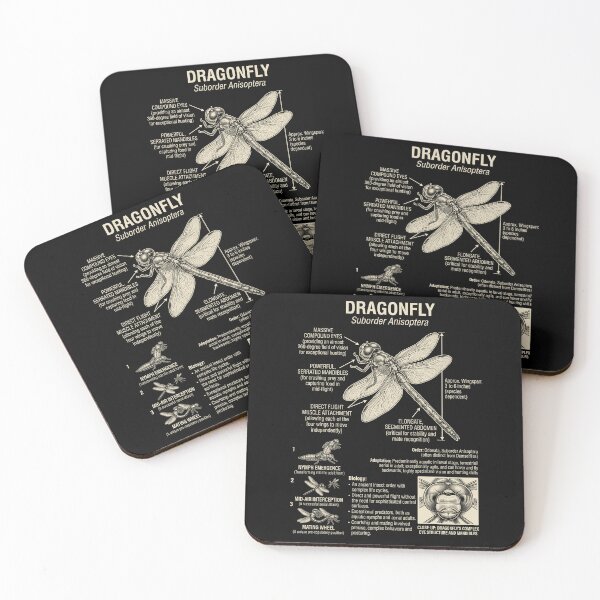 Item preview, Dragon Fly Scientific Anatomy Biology Animal Lover designed and sold by Kimberley King Art  King Art.