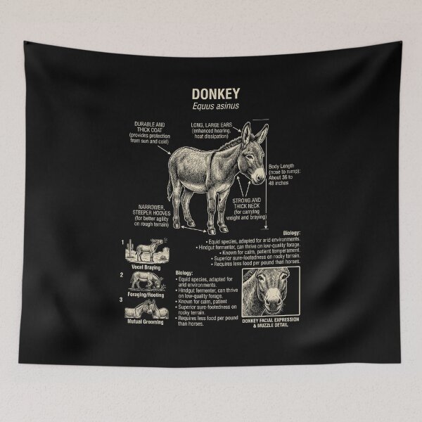 Item preview, Donkey Scientific Anatomy Biology Animal Lover designed and sold by Kimberley King Art  King Art.