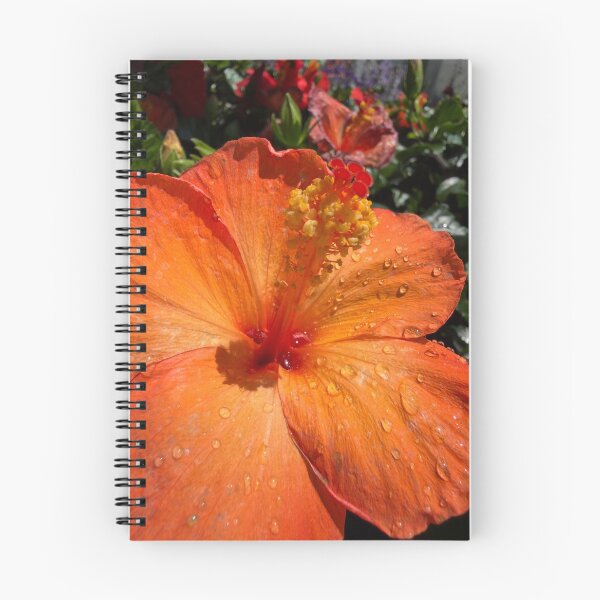 Item preview, Hibiscus designed and sold by Betsy Phillips.